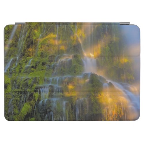 Proxy Falls Three Sisters Wilderness Oregon iPad Air Cover