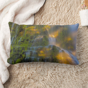 Proxy Falls Three Sisters Wilderness Oregon Lumbar Pillow