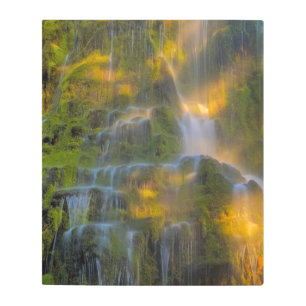 Proxy Falls Three Sisters Wilderness Oregon Metal Print