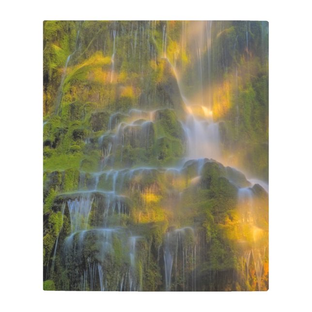 Proxy Falls Three Sisters Wilderness Oregon Metal Print (Front)