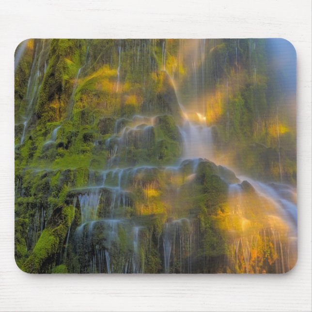Proxy Falls Three Sisters Wilderness Oregon Mouse Pad (Front)