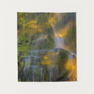 Proxy Falls Three Sisters Wilderness Oregon Tapestry