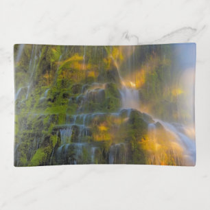 Proxy Falls Three Sisters Wilderness Oregon Trinket Tray