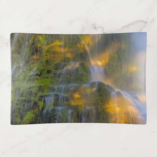 Proxy Falls Three Sisters Wilderness Oregon Trinket Tray (Front)