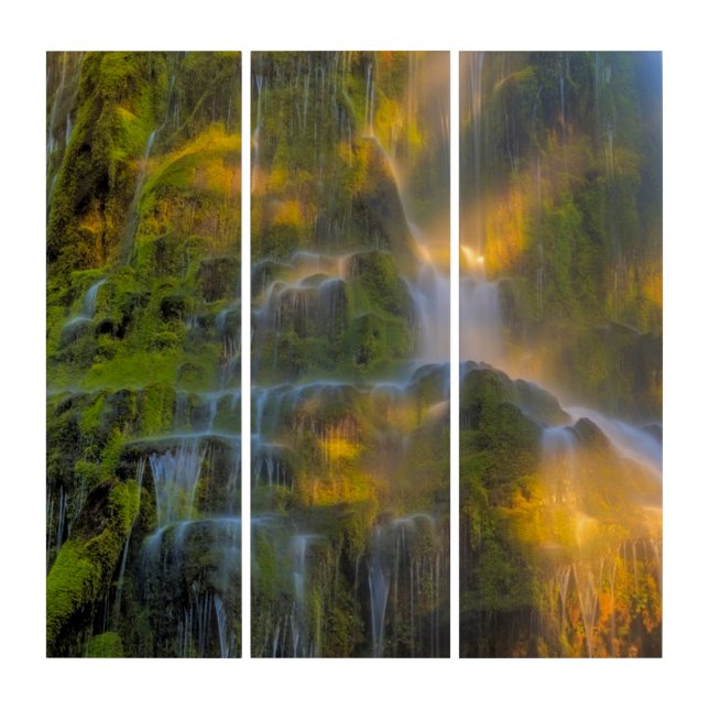 Proxy Falls Three Sisters Wilderness Oregon Triptych (Front)