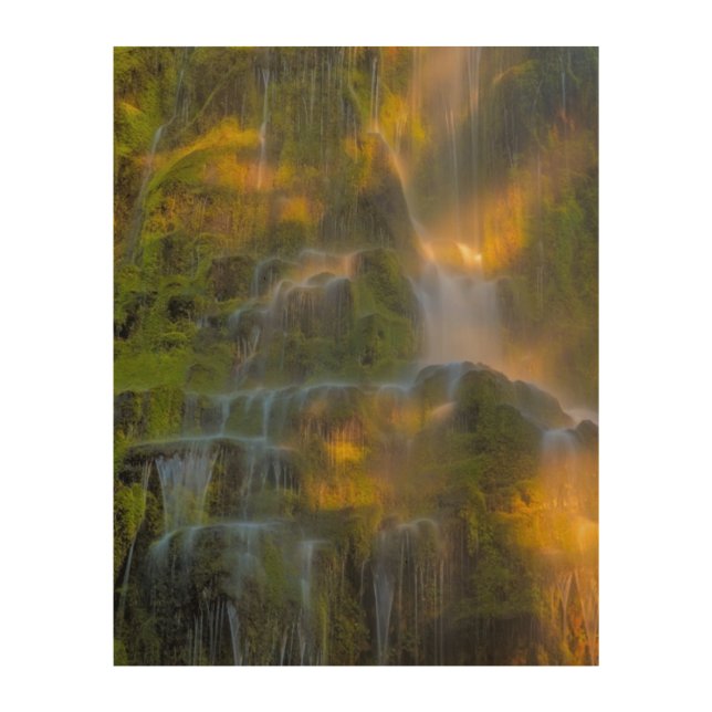 Proxy Falls Three Sisters Wilderness Oregon Wood Wall Art (Front)