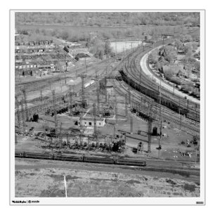 PRR Zoo Junction Square Wall Decal