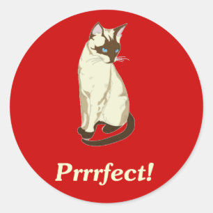 Prrrfect! Classic Round Sticker