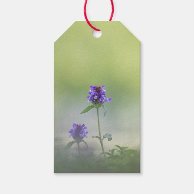 Prunella Flower Nature Photo Gift Tags (Front)