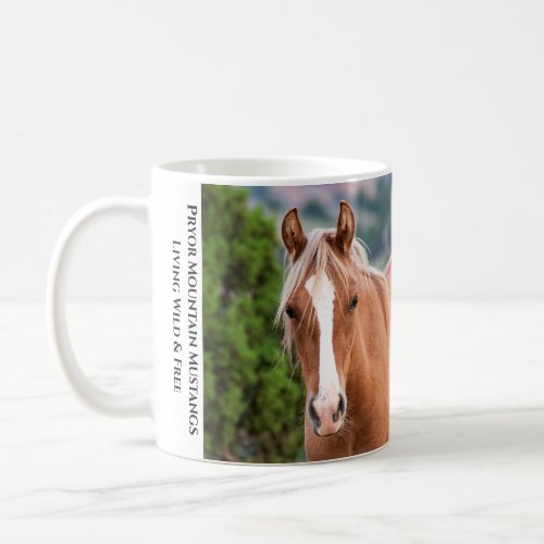 Pryor Mountain Wild Horse MugâVentura Coffee Mug
