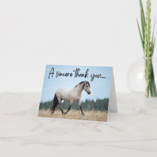 Pryor Mountain Wild Horse Thank You Card