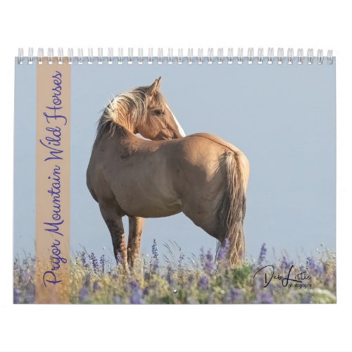 Pryor Mountain Wild Horses Calendar