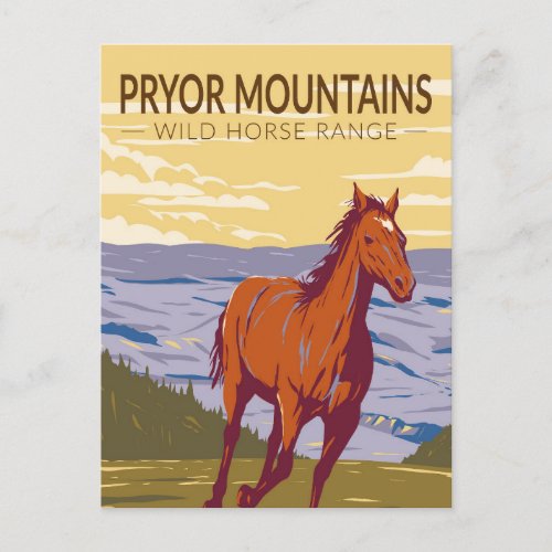 Pryor Mountains Wild Horse Range Vintage Postcard