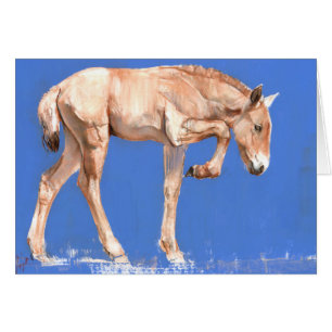Przewalski Foal 2012 Cards