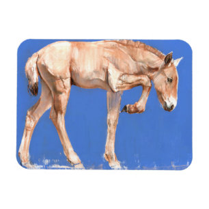 Przewalski Foal 2012 Magnet