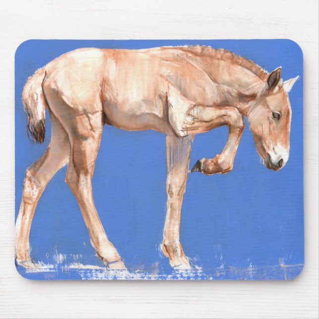 Przewalski Foal 2012 Mouse Pad (Front)