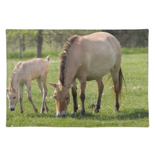 Przewalskis Horse and Foal Grazing Cloth Placemat