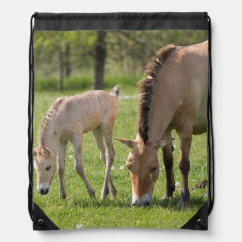 Przewalskis Horse and foal grazing Drawstring Bag