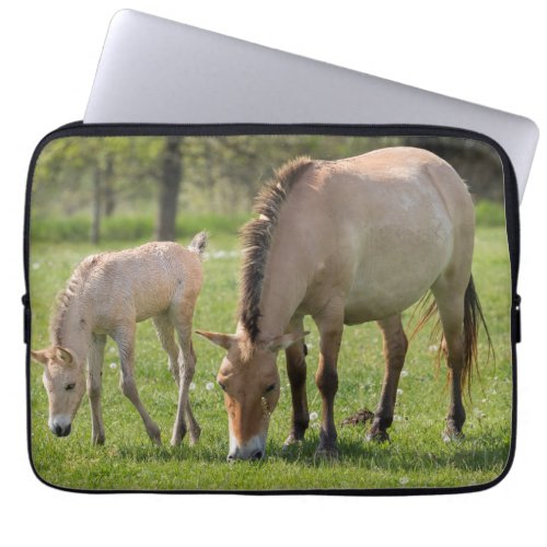 Przewalskis Horse and foal grazing Laptop Sleeve