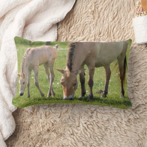 Przewalskis Horse and Foal Grazing Lumbar Pillow