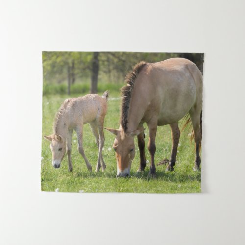 Przewalskis Horse and Foal Grazing Tapestry