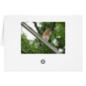 Psalm 100:2, Wren & Bluebird (Back Horizontal)