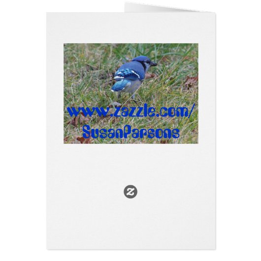 Psalm 105:6, Critters (Back)