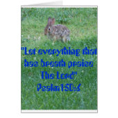 Psalm 105:6, Critters (Front)