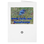Psalm 105:6, Critters Cards (Back)