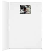 Psalm 105:6, Critters Cards (Inside (Right))