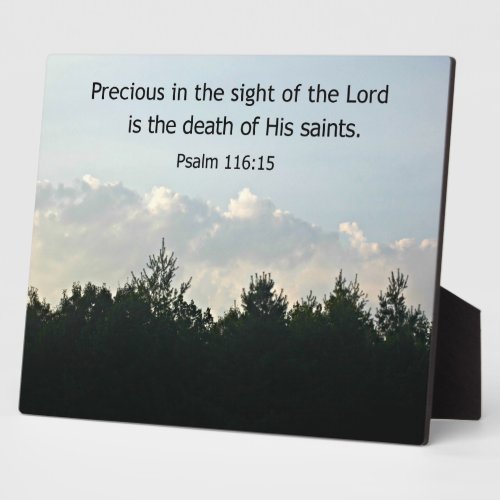 Psalm 11615 plaque