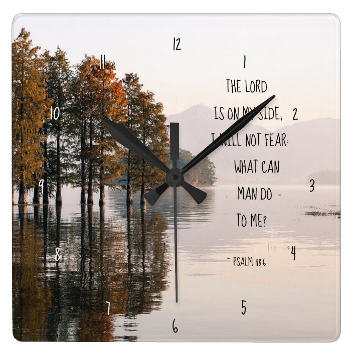 the lord is on my side i will not fear
