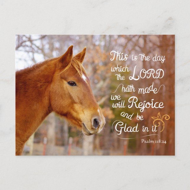 Psalm 118 Bible Verse Chestnut Horse Postcards (Front)