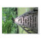 Psalm 119:105 Thy word is a lamp unto my feet, and