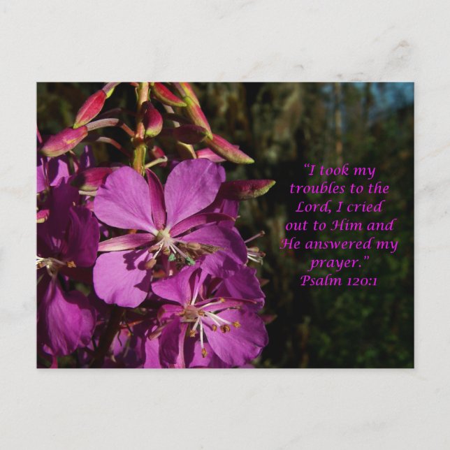 Psalm 120:1 Psalm of Encouragement Postcard (Front)