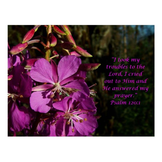 Psalm 120:1 Psalm of Encouragement Postcard