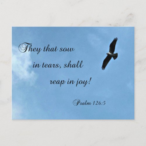 Psalm 1265 They that sow in tears shall reap Postcard