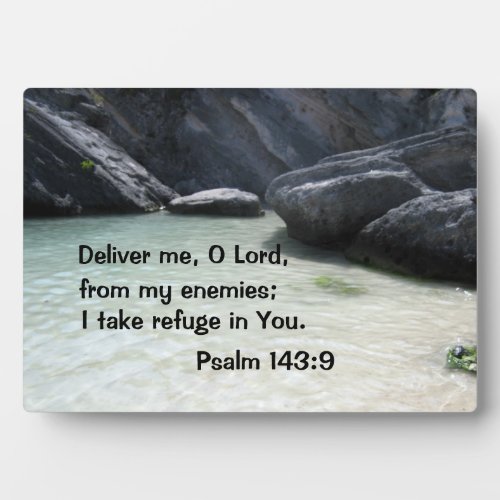 Psalm 1439 Deliver me O Lord from my enemies Plaque