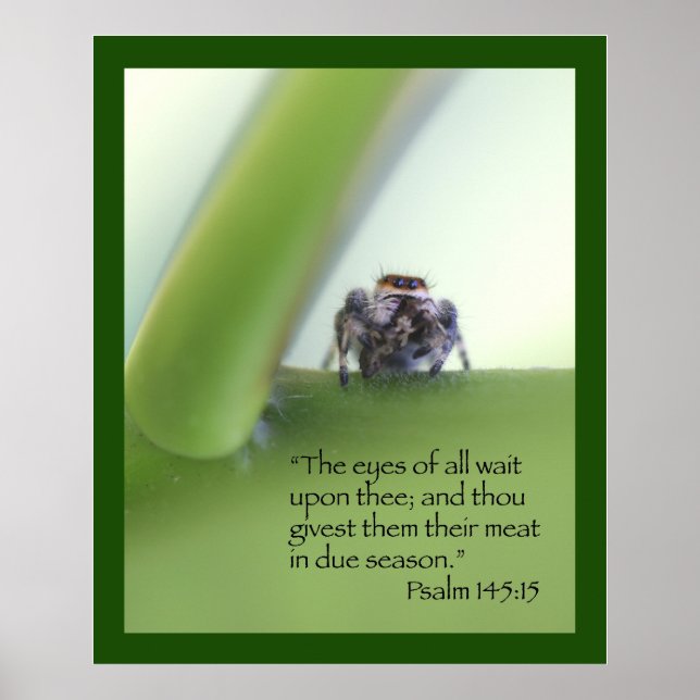 Psalm 145:15 Scripture Poster (Front)