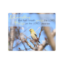 Psalm 150:6 - Goldfinch