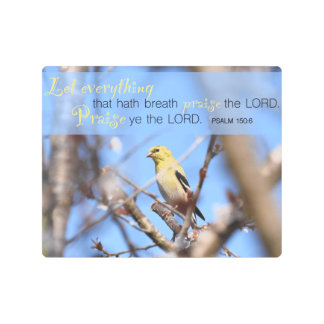 Psalm 150:6 - Goldfinch Metal Print