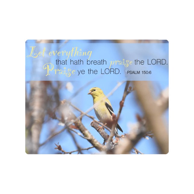 Psalm 150:6 - Goldfinch Metal Print (Front)