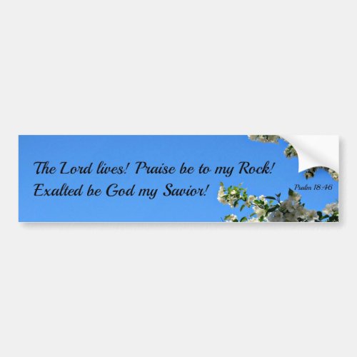 Psalm 1846 The Lord lives Bumper Sticker