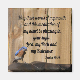 Psalm 19:14 magnet