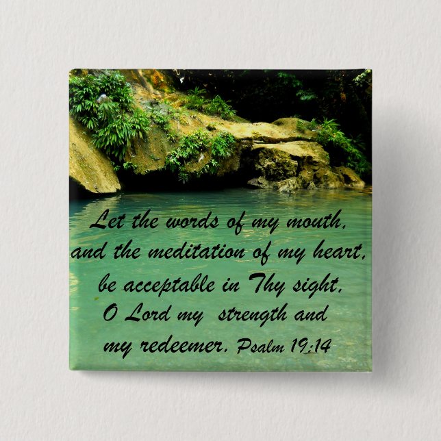 Psalm 19:14 pinback button (Front)