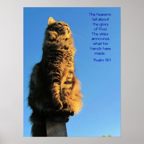 Psalm 191 Angel Cat Meme Poster