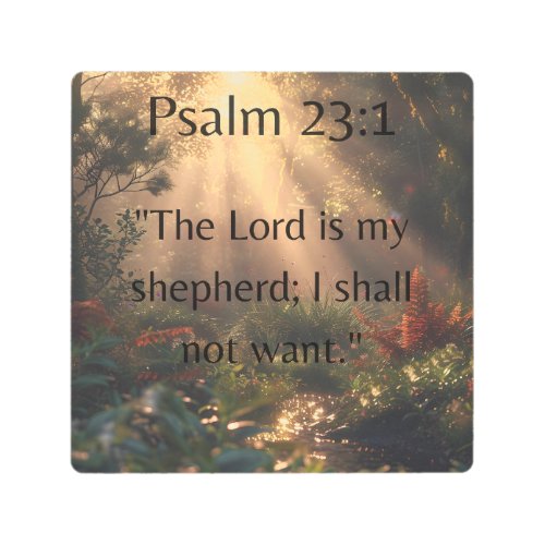 Psalm 231 Bible Verse Quote Metal Print