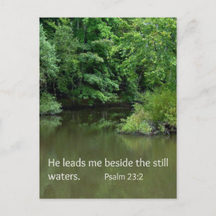 Psalm 23:2 He leads me beside the still waters Postcard