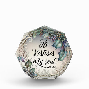 Psalm 23:3 acrylic award