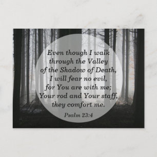 Psalm 23:4 I will Fear No Evil Bible Verse Memory Postcard
